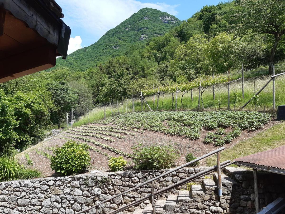 Ca' Berti Appartamento Con Terrazza Ville Del Monte Tenno Zewnętrze zdjęcie